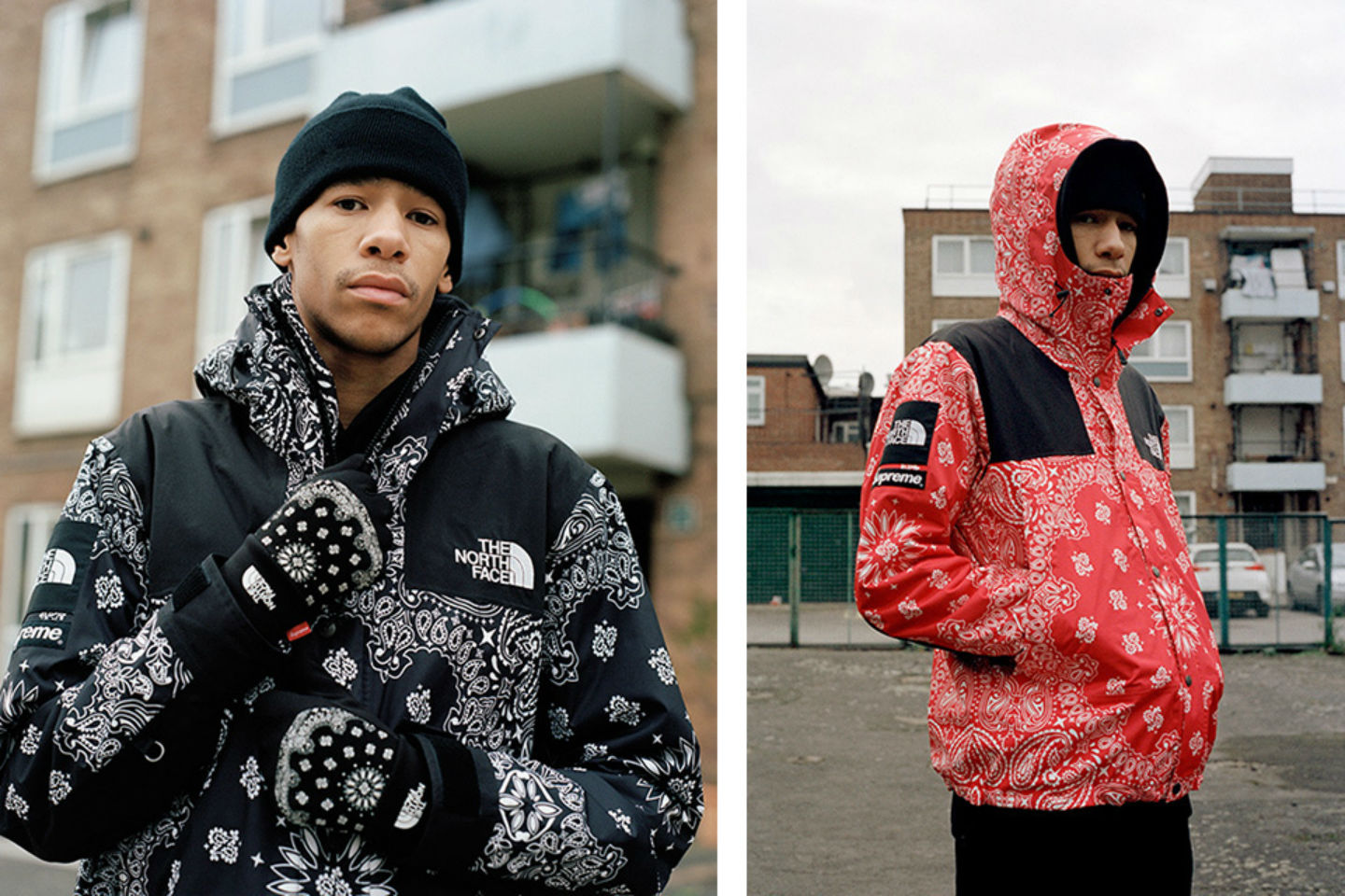 the north face x supreme bandana jacket