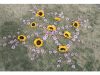 OFF-LINE: Outdoor Therapy For The Masses