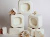 Magic Mushroom: The Future of Materials is Fungus